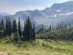 Maple Heather Trail, WA